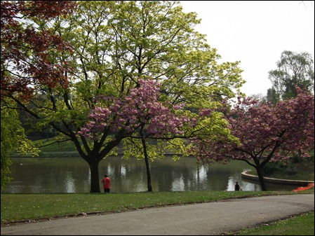 queenspark 017 queenspark 017